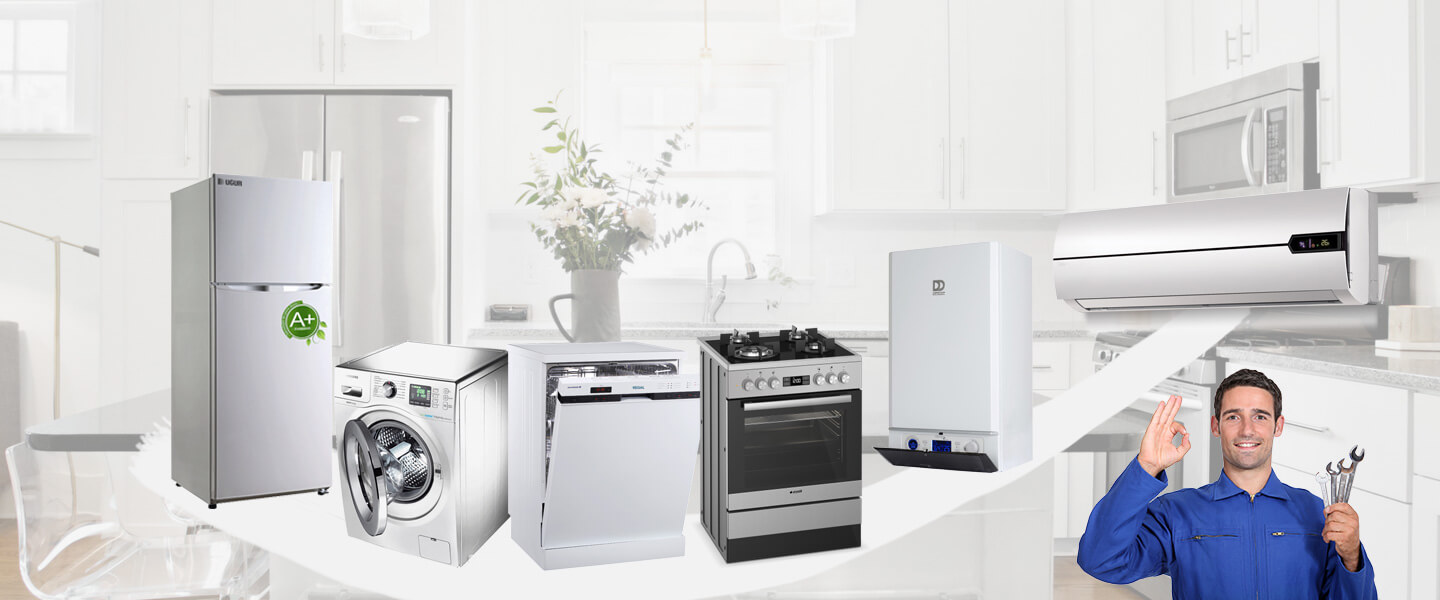 Şabanözü Electrolux Servisi